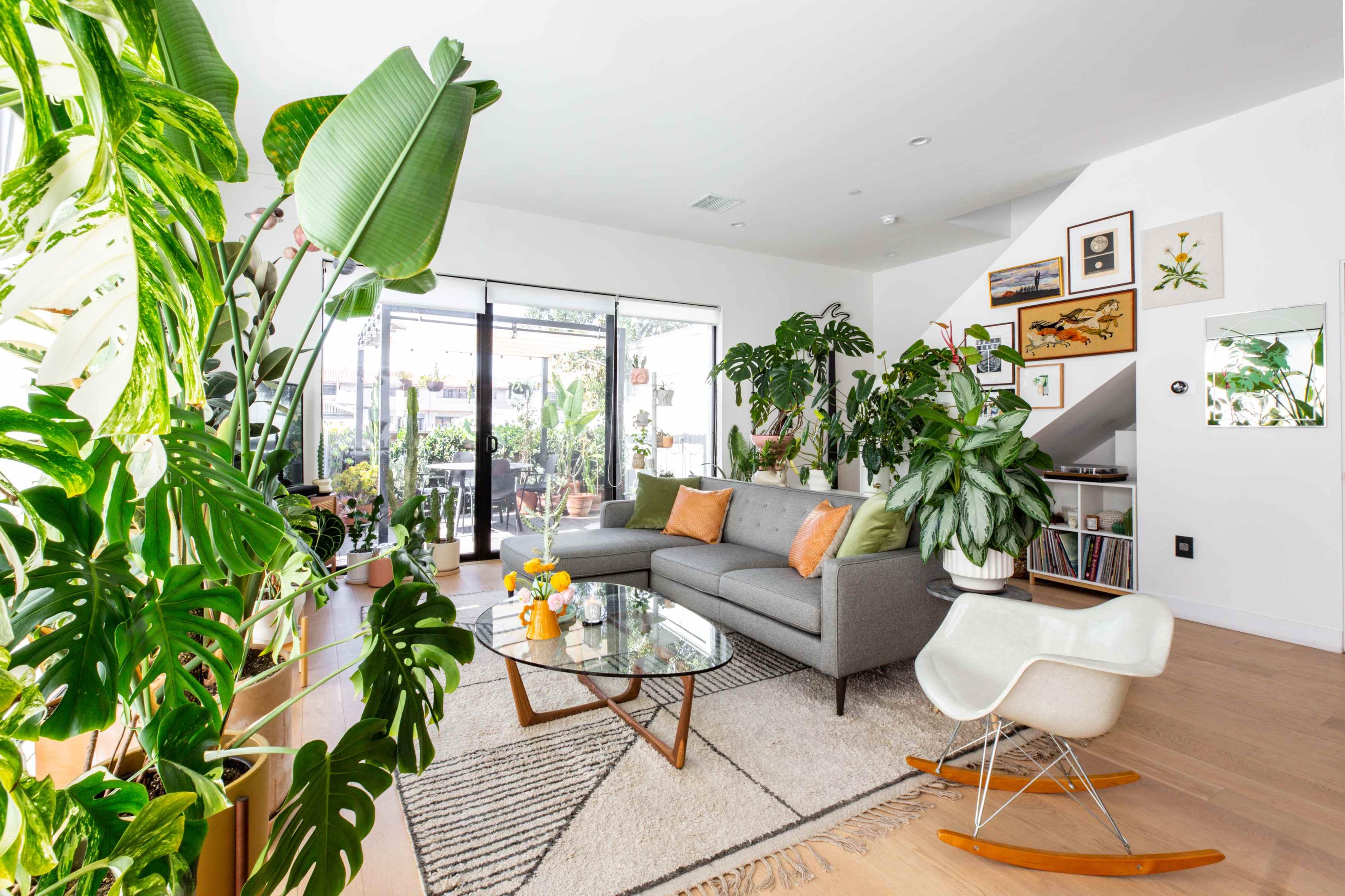 Beyond Decoration: How Indoor Landscaping Creates Healthier, Happier and More Productive Spaces