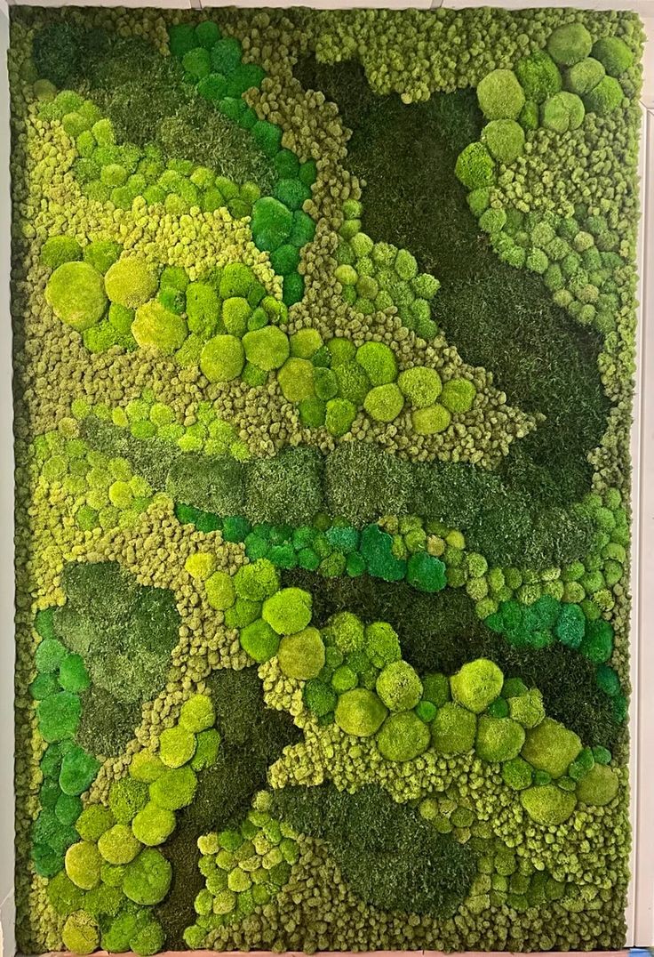 Moss Wall Installations