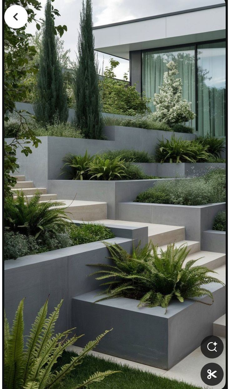 Retaining Walls and Planters