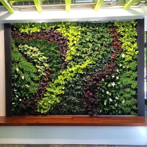Vertical Garden Solutions