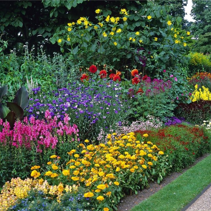 Seasonal & Ornamental Planting