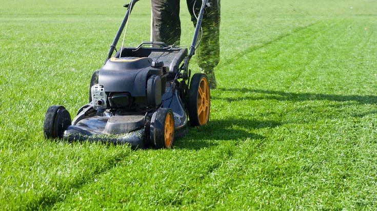 Lawn Care and Irrigation Management