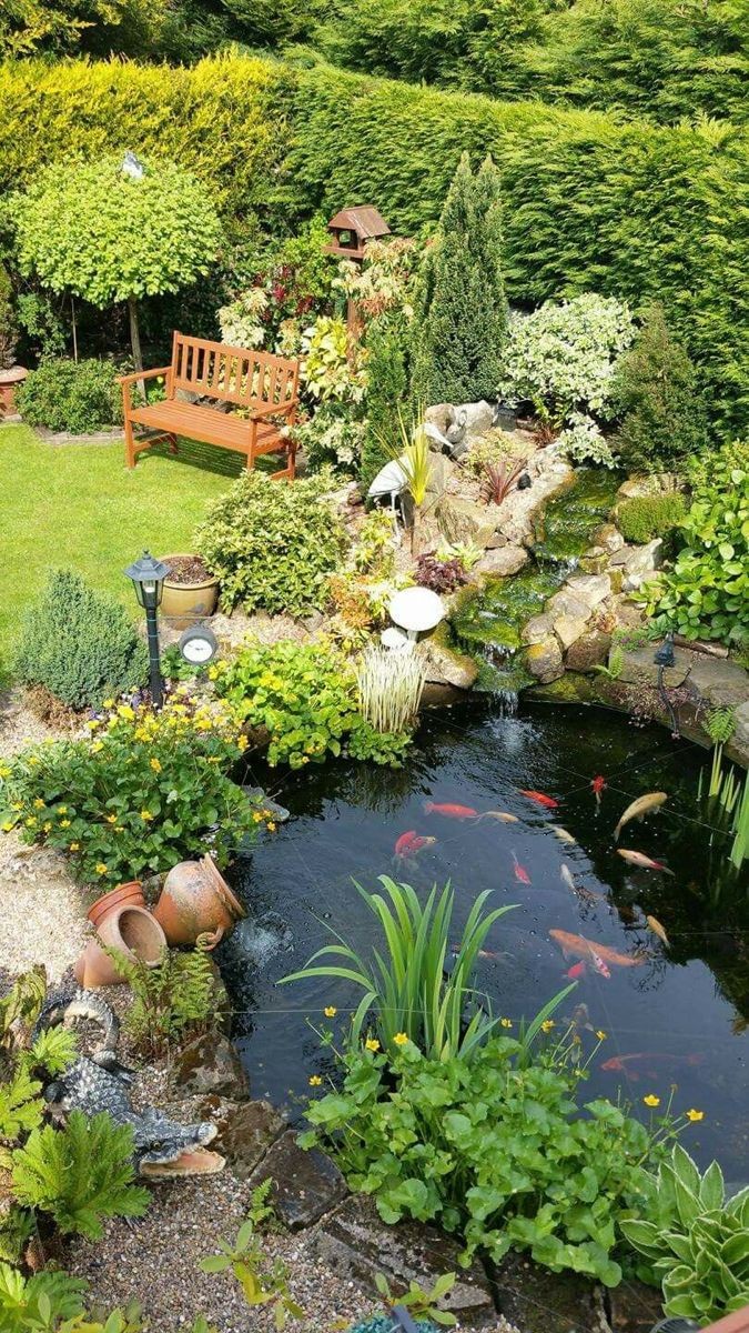 Urban Biodiversity Gardens