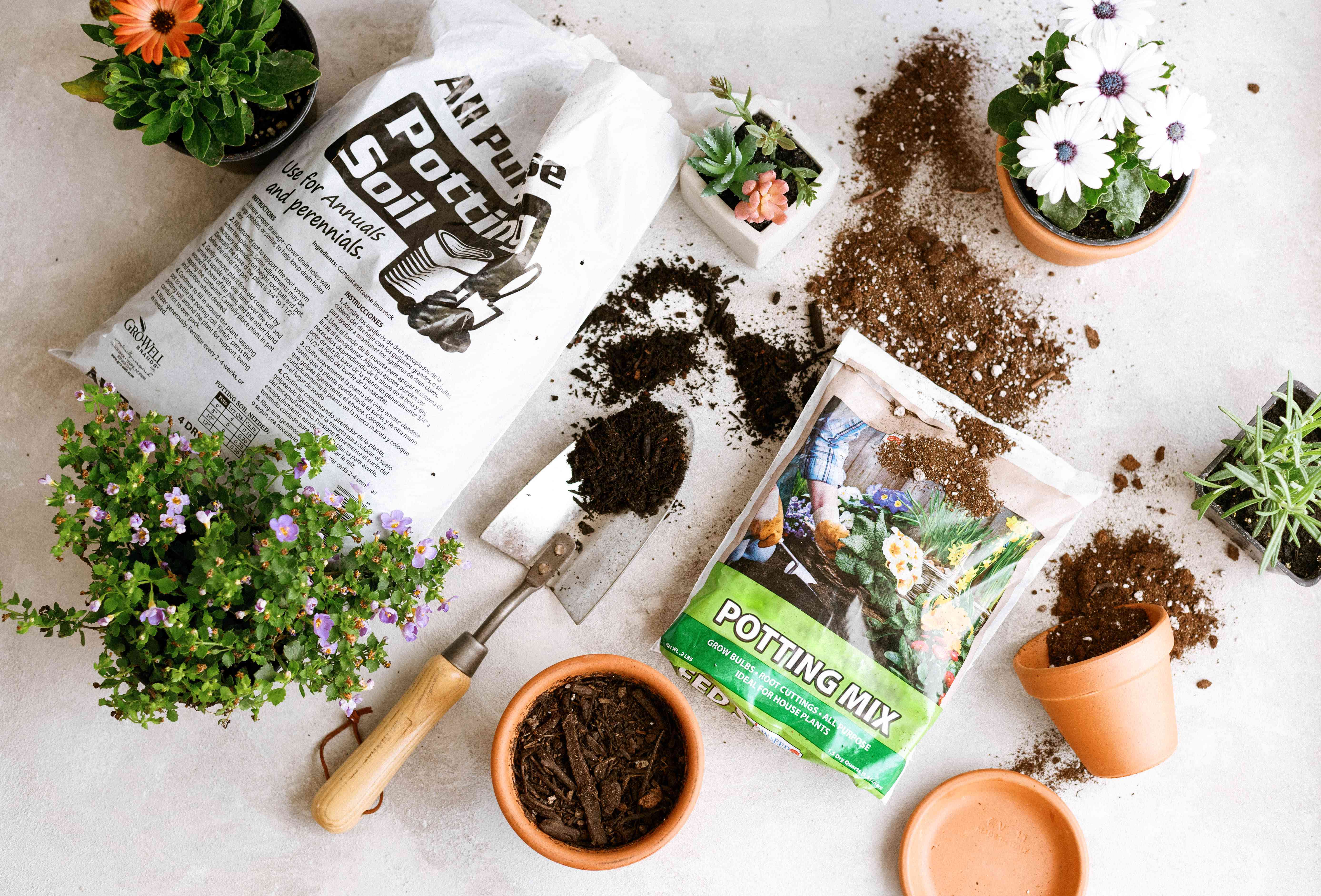 Garden Supplies
